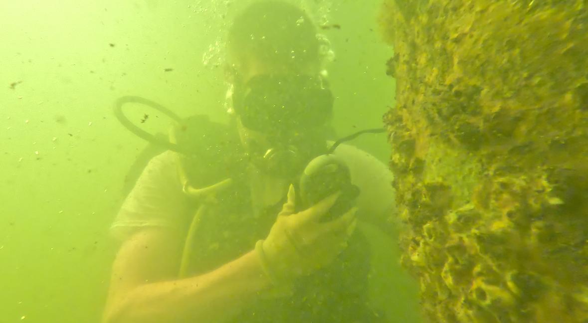 Byrnes pier search